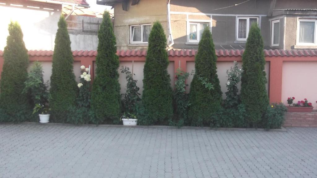 Pensiunea Neptun Alba Iulia Exterior photo